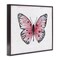 Stupell Industries Pink Toned Vintage Butterfly Framed Giclee, design by Janet Tava